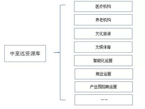 地方政府专项债发行全流程综合咨询服务方案——中至远咨询，以专业技术与防伪保障护航地方发展